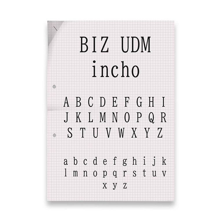 Alejandro Camacho BIZ UDM INCHO typographie police